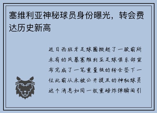 塞维利亚神秘球员身份曝光，转会费达历史新高